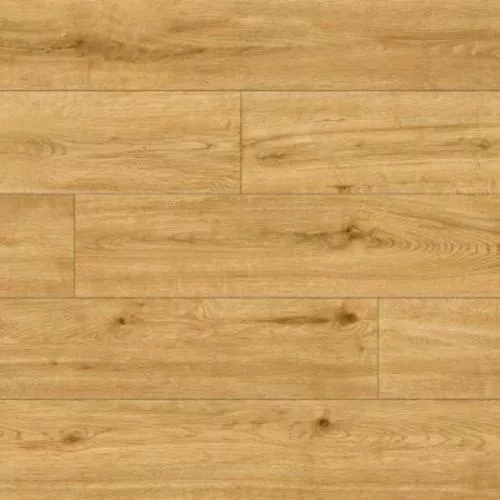 62189 Дуб Перейра