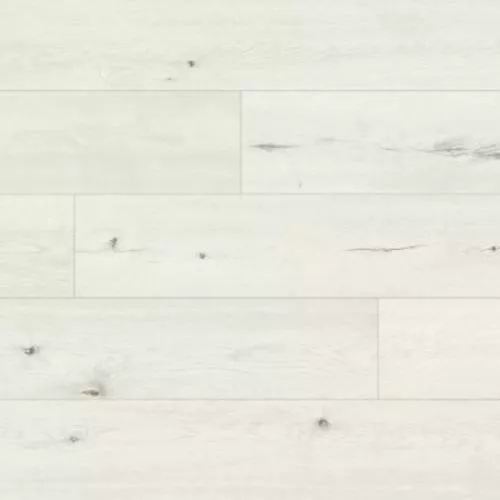 62190 Дуб Картаго