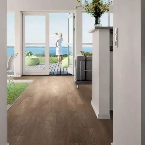 1872058 Дуб Лапачо