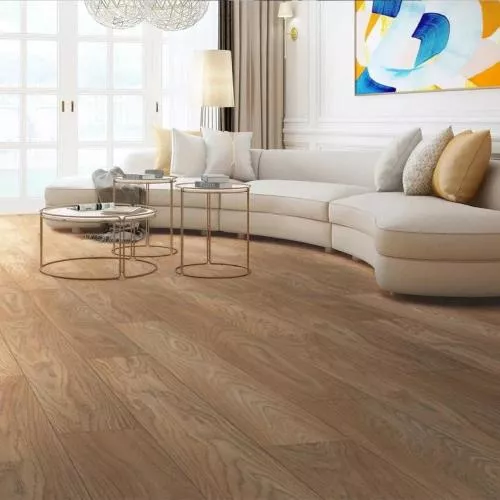 1872059 Дуб Сахара