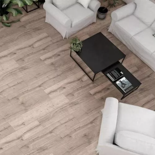 1872070 Дуб Мокко