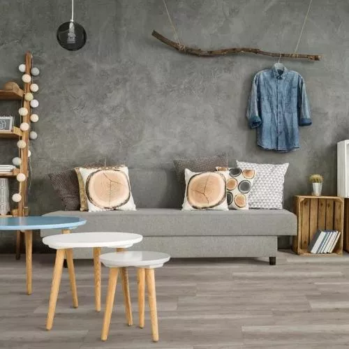 1872073 Дуб Антик