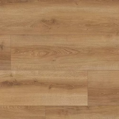 62492 Дуб Хелмонд