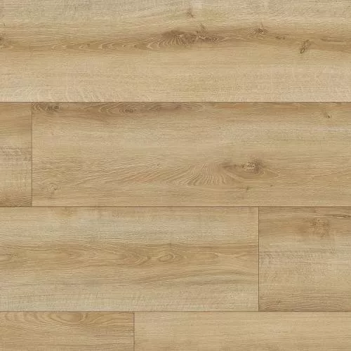 62494 Дуб Дуранго