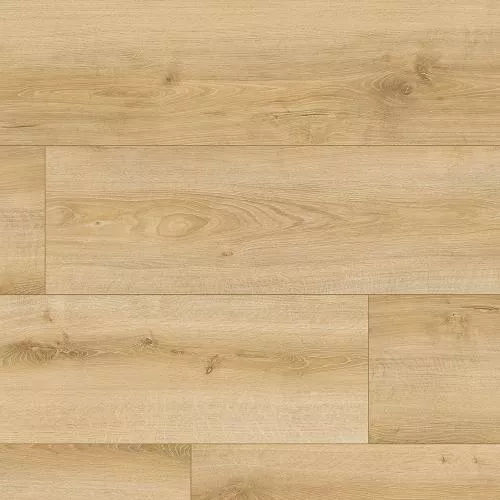 62495 Дуб Филлах