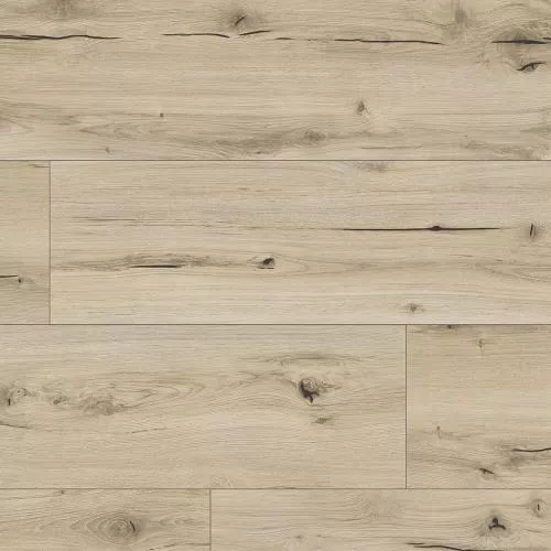 62500 Дуб Калдо