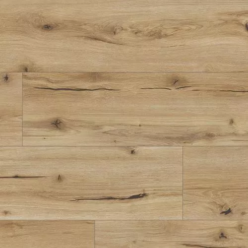 62503 Дуб Кальяри