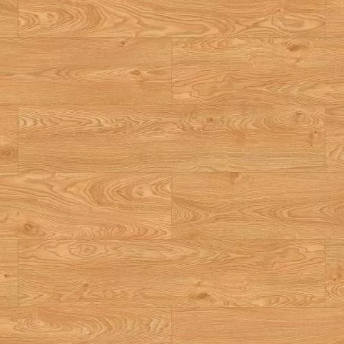 56601 Дуб Катания