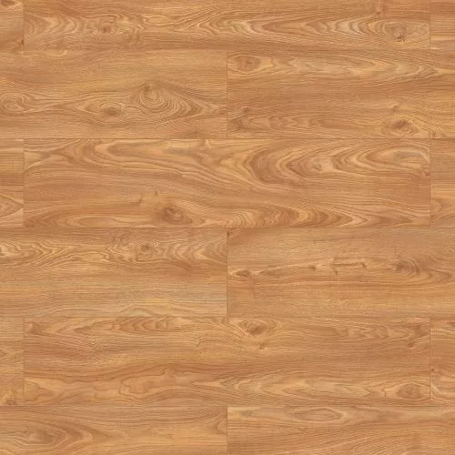 56603 Дуб Памир