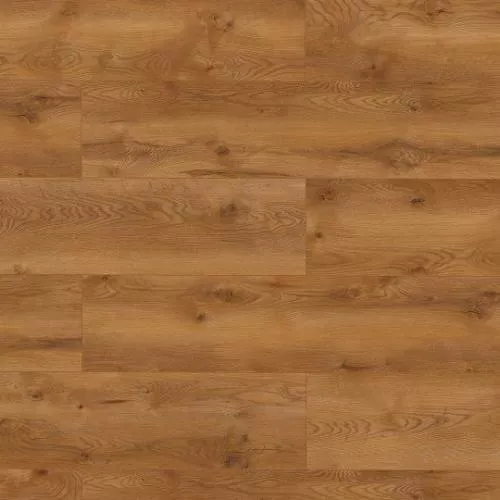 63111 Дуб Монтеверди