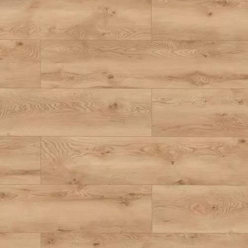 63112 Дуб Торри