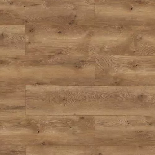 63127 Дуб Альбиано