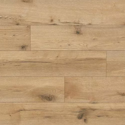 54852 Дуб Патос