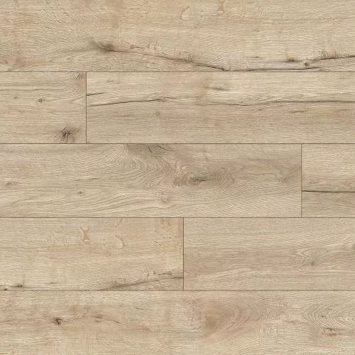 54854 Дуб Кедр