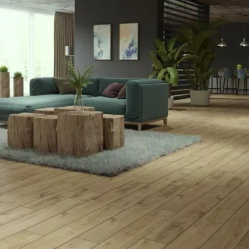 56572 Дуб Марстон