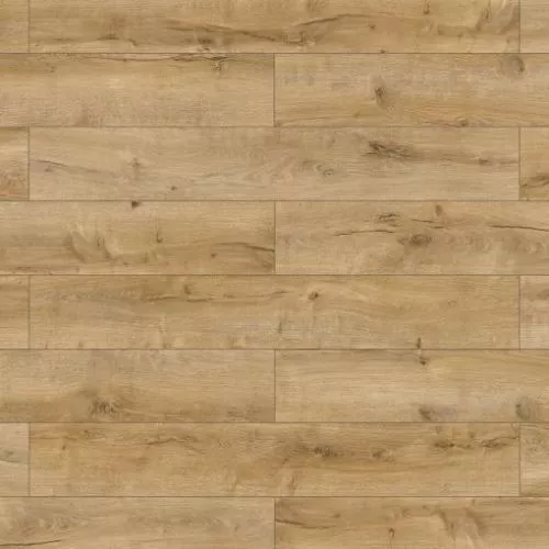 67208 Дуб Баккаро