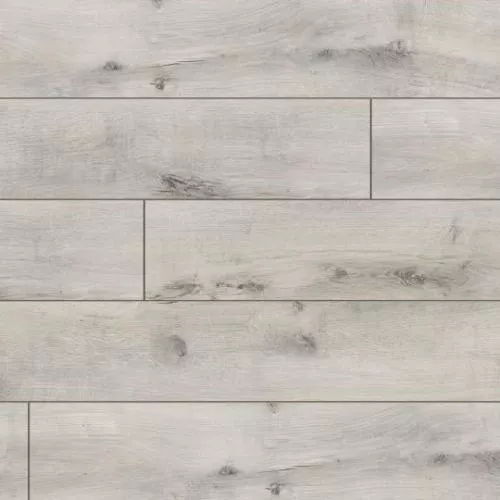 67209 Дуб Ньютон