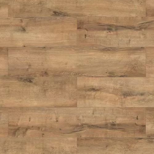 67210 Дуб Камедо