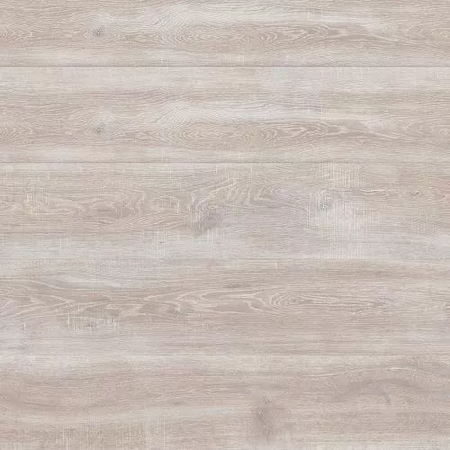 CL002 Дуб Кольдиц