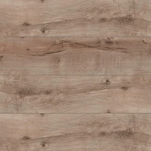 44008 Дуб Chester