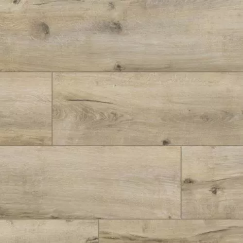 55953 Дуб Трудент