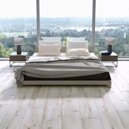 55956 Дуб Атлантис