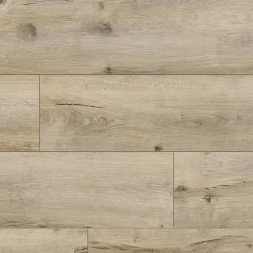 56613 Дуб Трудент