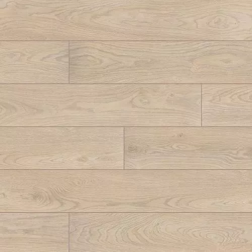 56583 Дуб Бильбао