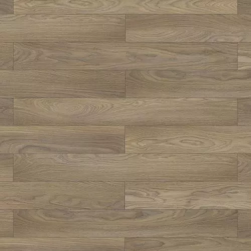 56579 Дуб Оксфорд