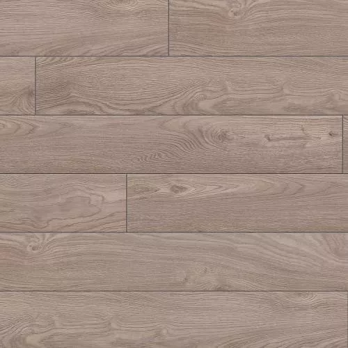 56584 Дуб Гренада