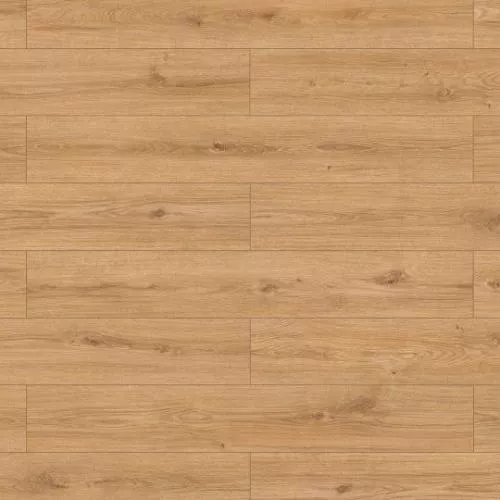 65360 Дуб Равенна