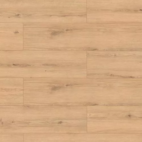 65362 Дуб Асти