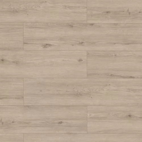 65475 Дуб Агридженто