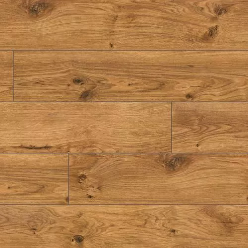 57298 Дуб Tamagawa