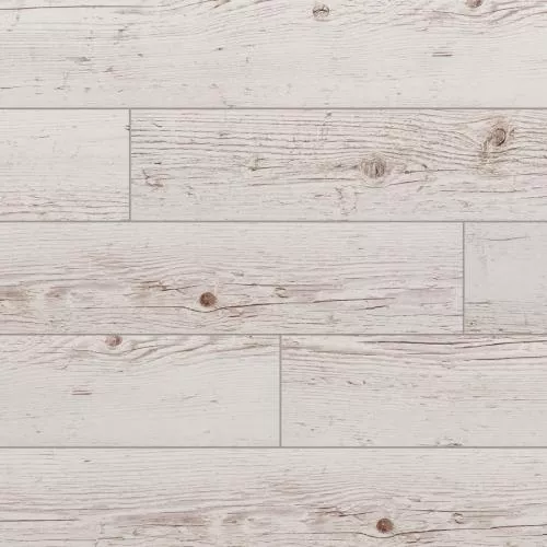 57314 Ель Chester