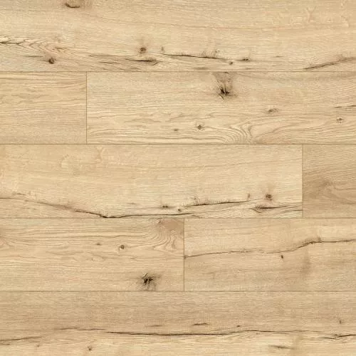 61470 Дуб Mondo
