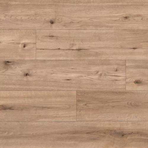 61471 Дуб Concord