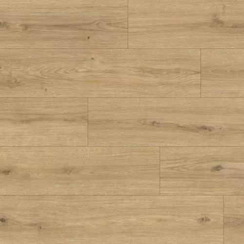 1874134 Дуб Алькасар