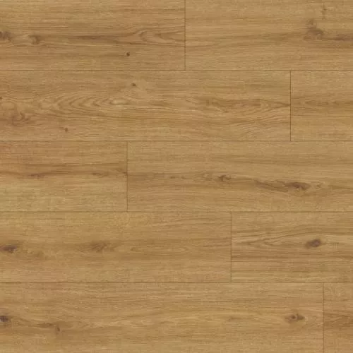 1874136 Дуб Пелеш