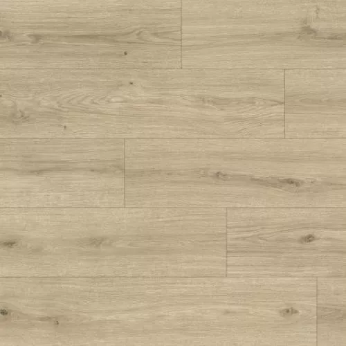 1874137 Дуб Корвин