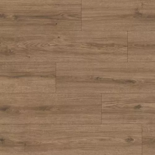 1874138 Дуб Данноттар