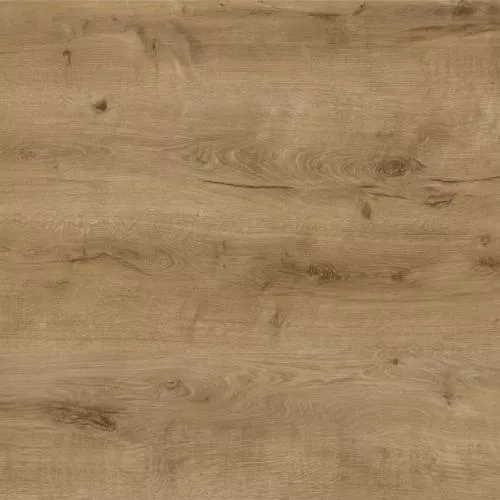 1874139 Дуб Блайд