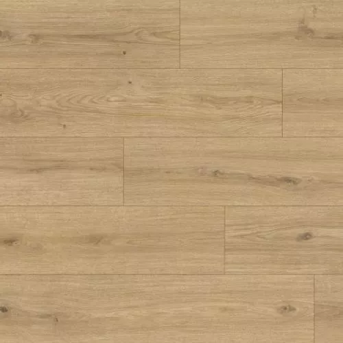 1874145 Дуб Мирамаре