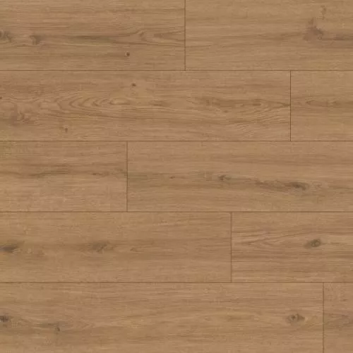 1874155 Дуб Брезе