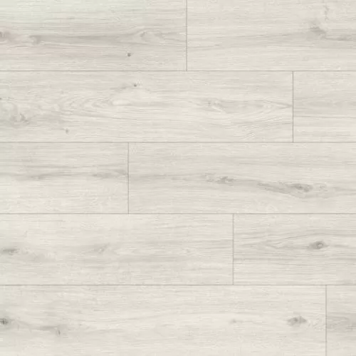 1874156 Дуб Мойланд