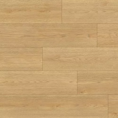 1874157 Дуб Эрида