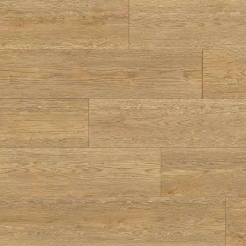 1874158 Дуб Фобос