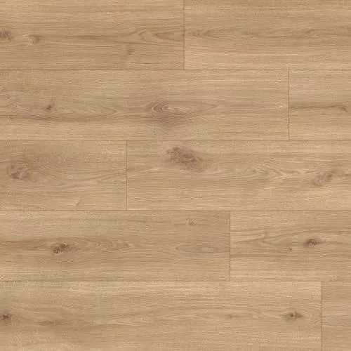 1874159 Дуб Бамберг