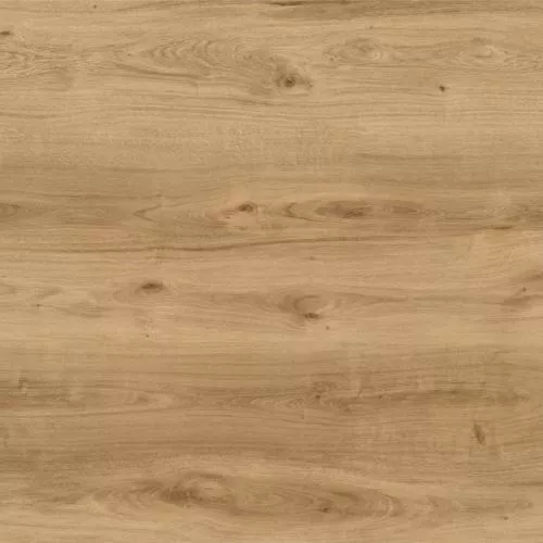 1874182 Дуб Хинни