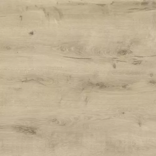 1874183 Дуб Итака